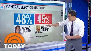 Steve Kornacki breaks down new Labor Day polls showing Harris ahead 3 points [upl. by Alba]