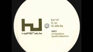 Burial  Stolen Dog Robag Wruhme EDIT [upl. by Otineb455]