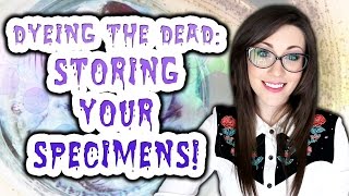 Dyeing The Dead  EP 10 Storing Your Specimens [upl. by Aihpledalihp]