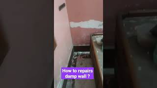 how to repair damp wall  wall waterproofing  wall dampness treatment  damp wall [upl. by Ginsberg]