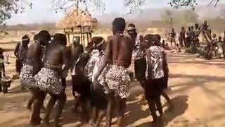 Buntibe Traditional Dance baTonga [upl. by Dry]