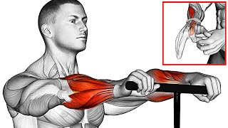 The Best 8 Forearm Exercises at Home [upl. by Katz]