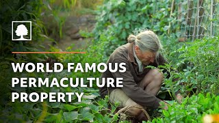 World Famous Permaculture Property Tour – David Holmgren and Su Dennetts Melliodora [upl. by Velasco]