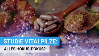 Studie Vitalpilze Wunderheilung oder Hokus Pokus [upl. by Angelle]