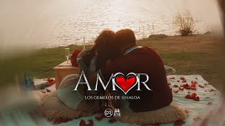 Los Gemelos De Sinaloa  AMOR Official Video [upl. by Enrev304]