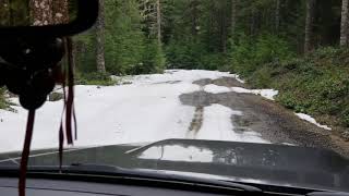 North Fork Wolf Creek and Salmonberry Rd  April 1st 2019  Road Conditons [upl. by Yeaton]