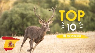 TOP 10 Tirs cerfs en Monteria [upl. by Naro]