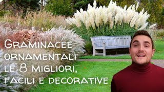 8 Graminacee ornamentali facili e decorative per il giardino🌾 [upl. by Nipha]