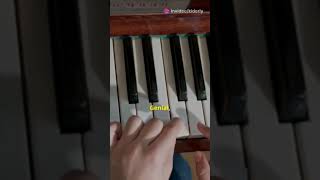 aprende a tocar piano desde cero con kidderlie Téllez datoscuriosos [upl. by Warfore495]