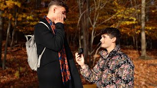 CUTEST GAY PROPOSAL EVER Very Emotional [upl. by Neelon]