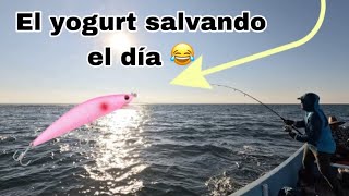 llegaron los jureles Pesca en Veracruz [upl. by Nerret]