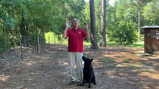 The MOST important command when training your German Shepherd [upl. by Sidoeht]