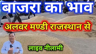 Bajra Bhav Aaj Alwar Mandi Rajasthan बाजरे की लाइव नीलामी आज अलवर मण्डी राजस्थान [upl. by Ahsotal]