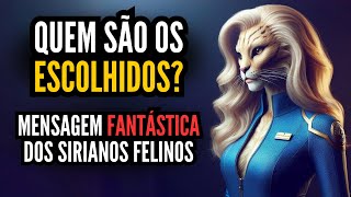 QUEM SÃO OS ESCOLHIDOS por Felinos de Sirius [upl. by Nnaeirrac]