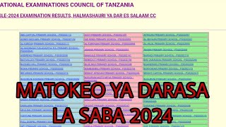 MATOKEO YA DARASA LA SABA7 MWAKA 2024 [upl. by Hollis979]