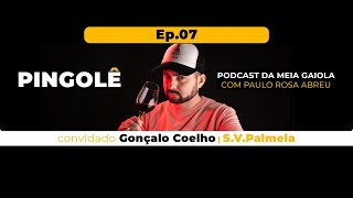 Pingolê  Ep07 com Gonçalo Coelho  Diretor de Marketing SVP [upl. by Sayette]