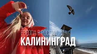 ВлогКалининградСтоит ли ехать Что посмотреть [upl. by Misak]