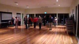 My First Steps  Beginner Line Dance [upl. by Nylesoy]