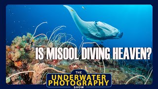 Is Misool Resort In Raja Ampat Diving And Underwater Photography Heaven [upl. by Eelra]