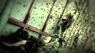 Machine Head  Locust OFFICIAL VIDEO [upl. by Nnaxor]