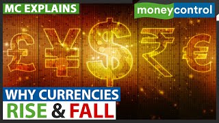 These Are The 5 Factors That Affect A Currencys Value  Why Currencies Rise amp Fall  Explained [upl. by Anerys374]