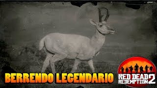 Berrendo legendario  Guia caza RED DEAD REDEMPTION 2 [upl. by Anos389]