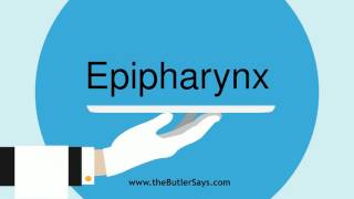 Learn how to say this word quotEpipharynxquot [upl. by Raven]