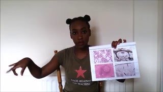 Med School Series  How I Study Histology [upl. by Amihc631]