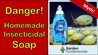 Homemade Insecticidal Soap Harms Your Plants 😢👿😯 Here is a Better Alternative [upl. by Emoreg]