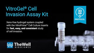 Cell Invasion Assay  30 minute protocol with the VitroGel® Cell Invasion Assay Kit [upl. by Fital]