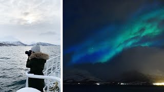 TROMSØ Fjord cruise amp Northern lights  vlog 37 [upl. by Edgerton]