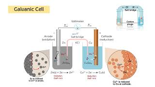 Experiment 1 Potentiometric titration [upl. by Muirhead]