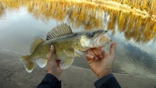 Walleye Fishing Clearwater River Fort McMurray [upl. by Shepley]