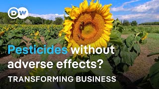 How toxic is the pesticides industry  DW Transforming Business [upl. by Notxed]