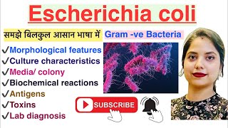 Escherichia coli in Hindi  Lab diagnosis  Pathogenicity  MLT  Nursing  Pharmacy [upl. by Anead]