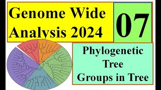 Phylogenetic Tree Genome wide study 2024 Part 07 [upl. by Yerffoej]