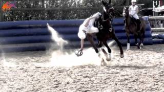 HorseBall  The most impressive equestrian sport [upl. by Seth639]