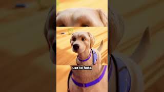 Watch How This Brave Dog Conquers His Fear [upl. by Leandre184]