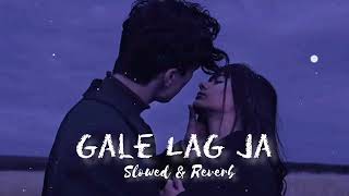 Gale Lag Ja LoFi  slowedreverb  Akshay Kumar  Lofi song [upl. by Lenno]