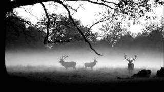 Battle of the Somme Bagpipes [upl. by Ottie]