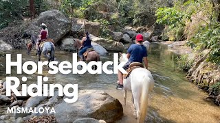 Horseback Riding To Eden Canopy Puerto Vallarta Things To Do [upl. by Giff]