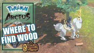 Pokemon Legends Arceus  Where to Find Wood Location [upl. by Saeger72]