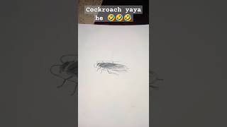 Cockroach Yaya 🤣🤣🤣 viralreels art drawing music reels short [upl. by Preiser]