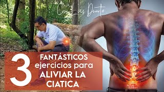 Alivia el dolor de CIATICA con estos ejercicios FACILES Y EFECTIVOS 😀 [upl. by Hugibert323]