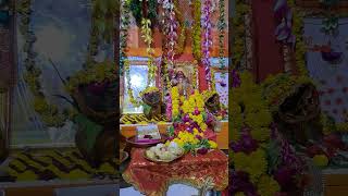 श्री सूक्त पाठ । Shri Suktam Path By five Brahmins । blissful Mata Laxmi stuti [upl. by Meta]