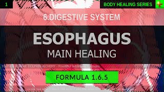 165 🎧 Healthy Esophagus EXTREMELY DEEP HEALING Resonant Subliminal [upl. by Sharos367]