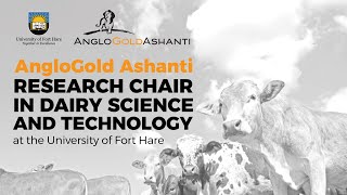 AngloGold Ashanti Research Chair in Dairy Science and Technology [upl. by Milissent116]