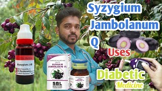 Syzygium Jambolanum Q Uses  Best For Diabetic  Homeopathic Medicine  DrChristant leo [upl. by Angus]