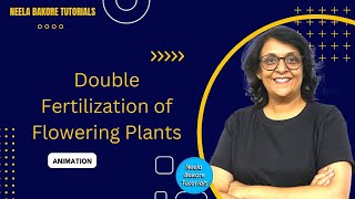 Double Fertilization in Flowering Plants  Animation  NEET  Neela Bakore Tutorials [upl. by Adley]