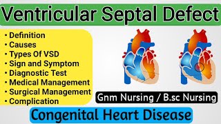 Ventricular Septal Defect  Ventricular Septal Defect Pediatrics  Congenital Heart Disease [upl. by Anuaf736]